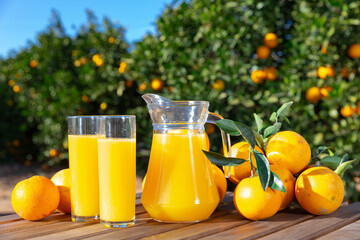 Freshly squeezed orange juice in carafe with fresh fruits on wooden table on background with green...