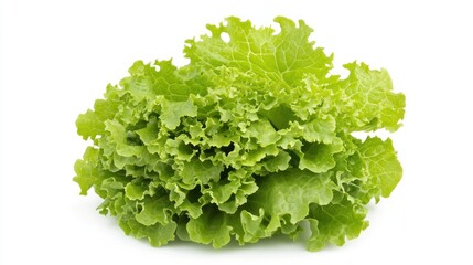 Fresh green lettuce with curly leaves, ideal for salads and garnishes.