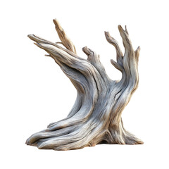 Weathered Tree Stump Isolated on Transparent Background