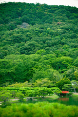 Obraz premium japanese garden with red bridge