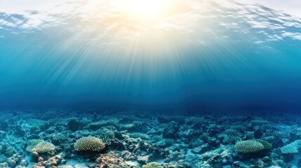 Fototapeta premium Underwater scene showcasing coral reefs and sunlight rays.