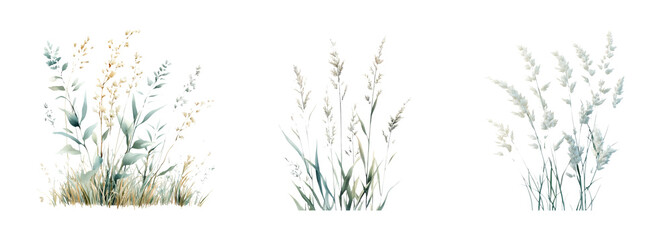 Naklejka premium Delicate Floral Illustrations on Transparent Background