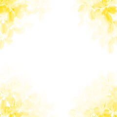 Yellow flower frame on a white background.