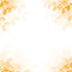 Orange flower frame on a white background.