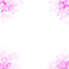 Pink flower frame on a white background.