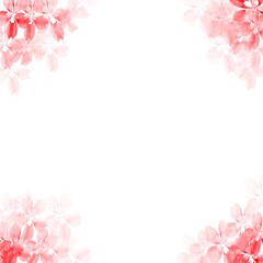 Red flower frame on a white background.