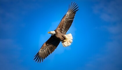 a majestic eagle soars against a bright blue sky wings outstretched embodying freedom and grace
