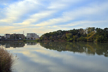 Fototapeta premium 池の上空に雲がストライプ状に伸びている風景