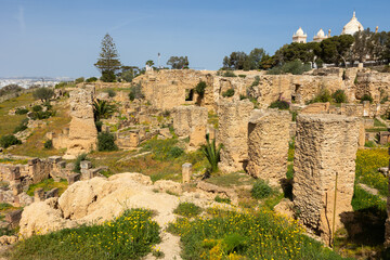 Fototapeta premium Ruins of the house of Hannibal at the excavations of Carthage
