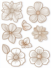 Collection of elegant line art flowers and leaves.
