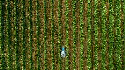 Aerial view of a tractor in a vineyard.