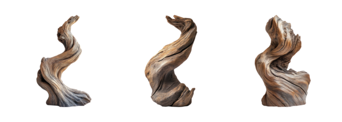 Abstract Twisted Wood Sculpture on Transparent Background