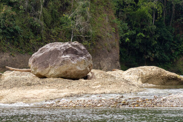 Naklejka premium big stone on the river bank in the forest