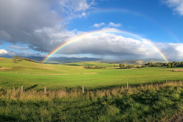 虹のかかる草原