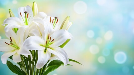 Fototapeta premium A bouquet of white lilies against a soft, colorful background.