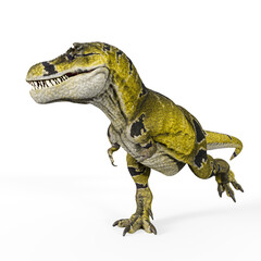 tyrannosaurus mcraeensis is walking in white background in cool view copy