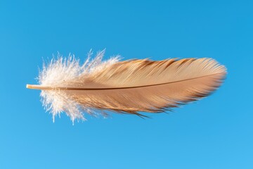 Single feather floating on a blue background