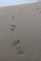 The footprints leading along a sandy beach