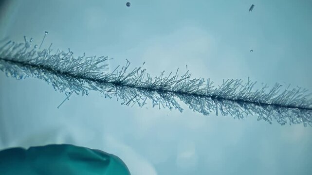 Scientist placing microneedles on hydrogel surface for drug delivery