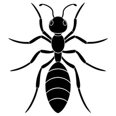 Cute  Line Art Ant Silhouette Black Vector Illustration