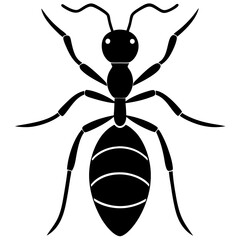 Cute  Line Art Ant Silhouette Black Vector Illustration