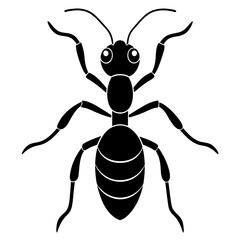 Cute  Line Art Ant Silhouette Black Vector Illustration