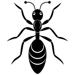 Cute  Line Art Ant Silhouette Black Vector Illustration