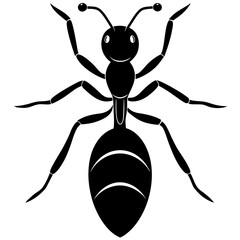 Cute  Line Art Ant Silhouette Black Vector Illustration