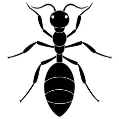 Cute  Line Art Ant Silhouette Black Vector Illustration