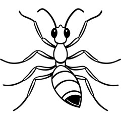 Cute  Line Art Ant Silhouette Black Vector Illustration