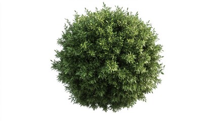 High-quality Christmas ball ornament, designed with intricate details, isolated on a white background, perfect for holiday decor and festive celebrations.