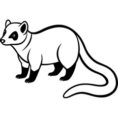 Cute  Line Art Coati Silhouette Black Vector Illustration