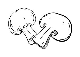 champignon mushroom digital illustration drawing isolated