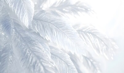 Close-up of delicate, translucent white leaves.