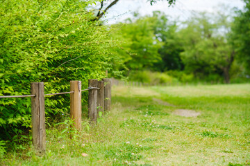 芝生のある広場と木の杭の柵