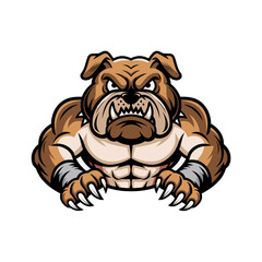 bulldog muscular attacking with claws logo design illustration