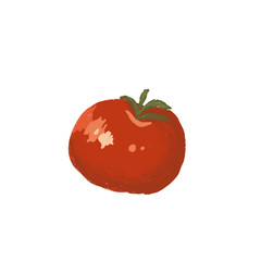 tomato isolated on white background