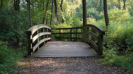 Wooden bridge, forest path, autumn leaves, sunlight, nature trail