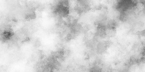 Abstract elegant grunge white gray abstract grunge texture, Mist Fog and Dust Particles on smoke canvas, Black and white abstract grunge texture with fog.