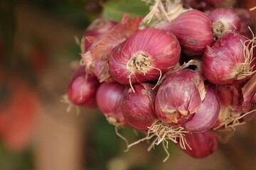 Closeup of a onion 