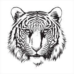Tiger silhouette vector art illustration.  