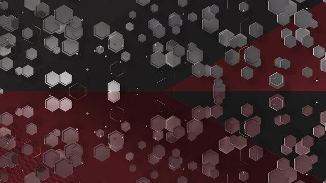 オクタゴンCG_Anotherパターン02_黒赤