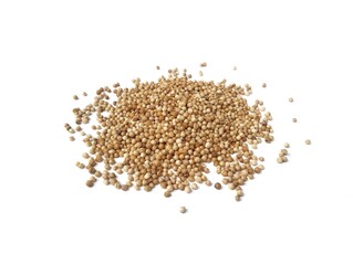 Fresh coriander isolated on white background. Food ingredient