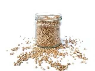 Fresh coriander seeds isolated on white background. Food ingredient