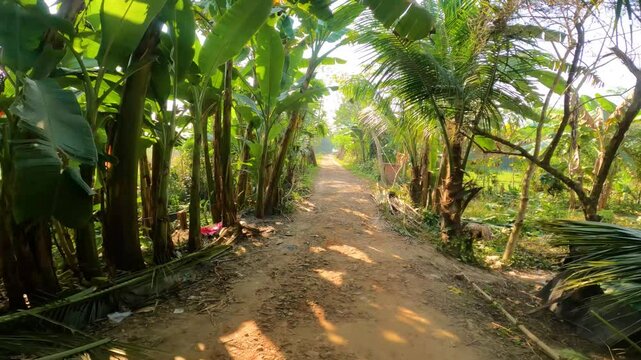POV of a traveler riding an auto rickshaw on a rural road near Kolkata