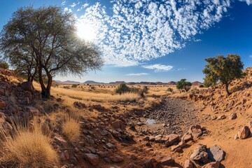 Sunny desert landscape with dry riverbed, rocks, and trees under a blue sky with clouds.