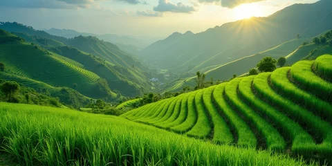 Gardinen Golden Rice Terraces at Sunset  © SabsePahale