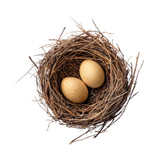 Nest with Two Brown Eggs in Natural Environment