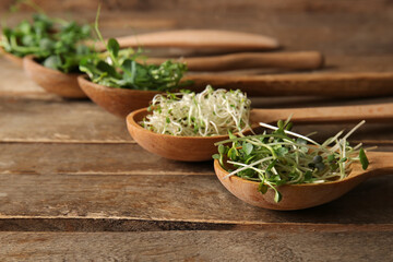 Spoons with different micro green on wooden background, closeup