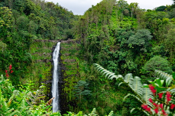 Beautiful tall and slim stream of waterfall flowing down from the cliff in green dense rainforest...